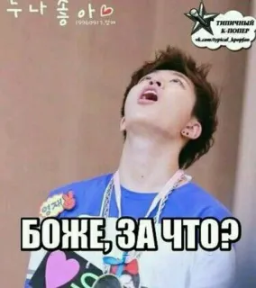 🌟 누나 좋아♡
19960911.
영재
БОЖЕ, ЗА ЧТО? kpop, music, idol, portrait, teen, meme telegram sticker