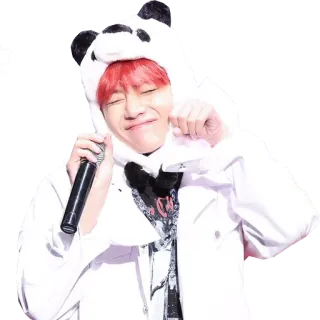 😊 K-Pop, Idol, capelli rossi, cappello panda, carino, cantante, artista telegram sticker