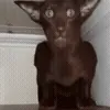 😐