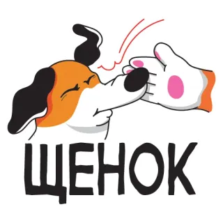 😾 ЩЕНОК dog, puppy, animal, pet, cartoon, slap, funny telegram sticker