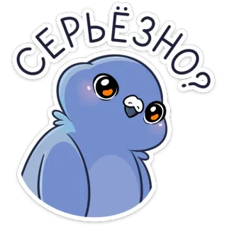 ❓ СЕРЬЁЗНО? chim, dễ thương, câu hỏi, bồ câu, hoạt hình, nhãn dán telegram sticker