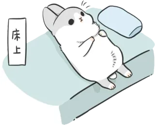 💤 床上 królik, łóżko, leżący, słodki, poduszka, relaks telegram sticker