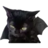 🐈⬛