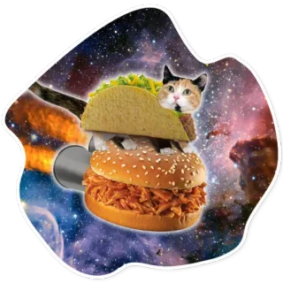 🍔 kot, taco, burger, jedzenie, kosmos, naklejka, kanapka, szylkretowy telegram sticker