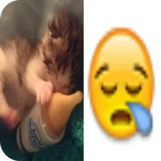 🐱 小猫, 睡觉, 奶瓶, 表情符号, 悲伤 telegram sticker