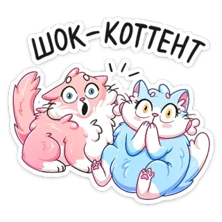 😳 ШОК-КОТТЕНТ кошки, шок, удивлен, милые, животные, мультфильм whatsapp sticker