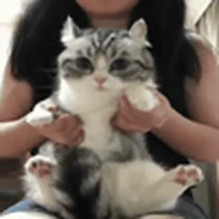 💃