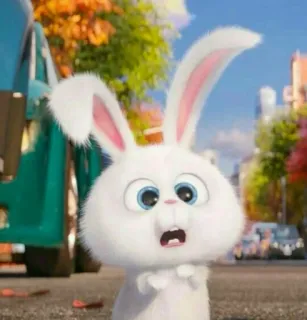 🍥 Snowball The Secret Life of Pets thỏ, dễ thương, hoạt hình, thú cưng, pet telegram sticker