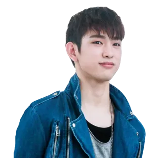 😊 person, male, portrait, man, jacket, casual, young adult telegram sticker