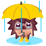 😢