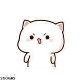 🤨 แมว, สัตว์, น่ารัก, สติกเกอร์, การ์ตูน telegram sticker