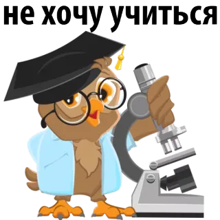 😓 не хочу учиться coruja, microscópio, educação, estudante, formatura, tédio whatsapp sticker