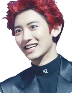 😀 61 hombre, sonrisa, coreano, ídolo, Chanyeol, cantante, actor, K-pop whatsapp sticker