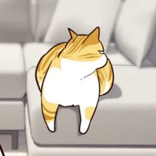 🐈 mèo, động vật, thú cưng, mèo mướp cam, dễ thương telegram sticker