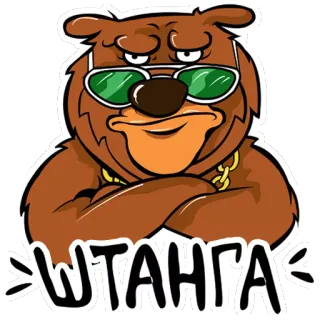 😑 ШТАНГА медведь, мультик, круто, очки, текст, русский, животное, стикер whatsapp sticker