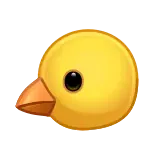 🐤