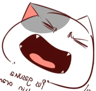 🐈 猫, 笑, 搞笑, 可爱, 贴纸 whatsapp sticker