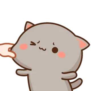 😍 Katze, niedlich, kawaii, Tier, Aufkleber, Pfirsich Katze telegram sticker