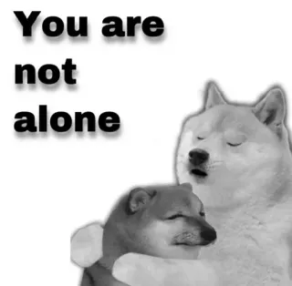 😂 You are not alone doge, meme, shiba inu, perro, consuelo, apoyo telegram sticker