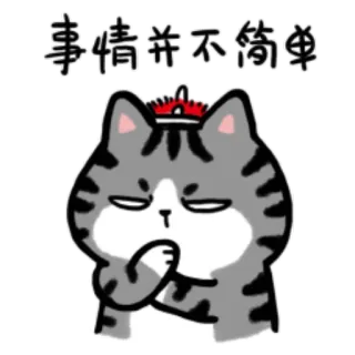 🙋‍♂️ 事情并不简单 kucing, cina, meme, stiker, serius, berpikir telegram sticker