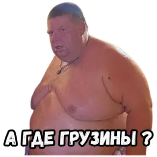 🇬🇪 А ГДЕ ГРУЗИНЫ ? mem, naklejka, rosyjski, pytanie, Gruzja telegram sticker