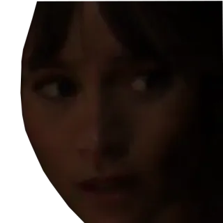 🌚 person, gesicht, frau, porträt telegram sticker
