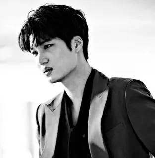 🗝 đàn ông, veston, chân dung, trắng đen, kpop, kai telegram sticker