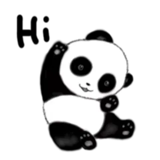 🙂 Panda, Animale, Carino, Bianco e nero, Cartone animato, Adesivo telegram sticker