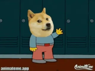 🙋♂ animateme.app doge, pies, mem, śmieszne, kreskówka, animacja telegram sticker