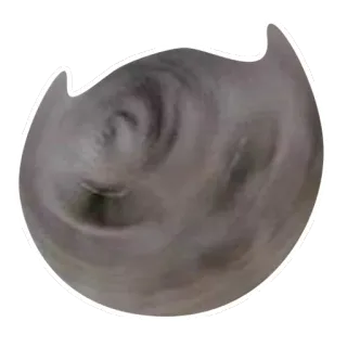 🙀 whatsapp sticker