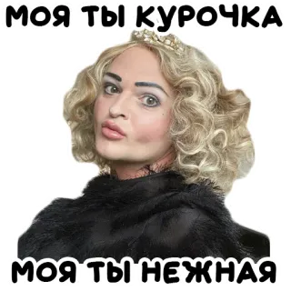 ☺️ МОЯ ТЫ КУРОЧКА
МОЯ ТЫ НЕЖНАЯ pessoa, retrato, rosto, peruca, maquiagem telegram sticker