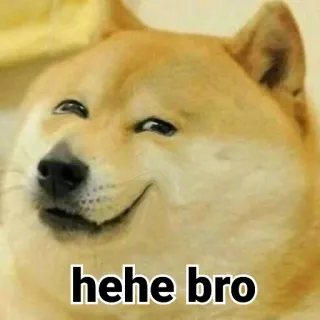 😁 hehe bro doge, mem, pies, hehe, ziomek, mem internetowy telegram sticker