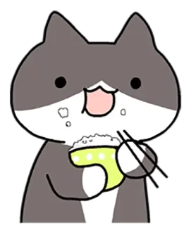 🍚 chat, manger, riz, mignon, kawaii, animal, nourriture whatsapp sticker