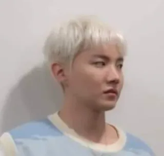 😒 J-Hope j-hope, bts, k-pop, idol, korean, singer, dancer telegram sticker