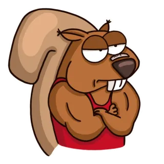 😐 Eichhörnchen, Tier, Cartoon, Muskeln, Stark, Lustig, Sticker telegram sticker