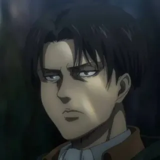 🙃 Levi Ackerman Attack on Titan anime, attack on titan, levi, levi ackerman, manga, character telegram sticker