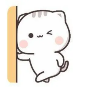 🧉 cat, cute, animal, cartoon, sticker telegram sticker