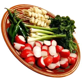 🌶 rzodkiewki, czosnek, szczypiorek, kolendra, zielona papryka, warzywa, jedzenie telegram sticker
