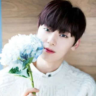 ☘ retrato, hombre, flor, hortensia, persona, coreano telegram sticker