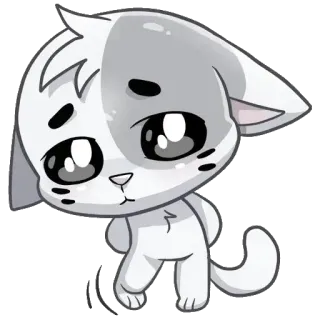 😔 gato, gatinho, fofo, animal, adesivo whatsapp sticker