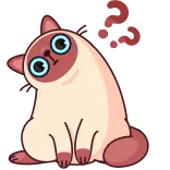 🤨 gato, animal, fofo, adesivo, desenho animado whatsapp sticker