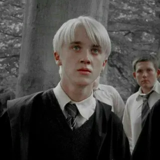 🐍 Draco Malfoy Harry Potter harry potter, draco malfoy, personaje, mago, magia, slytherin telegram sticker