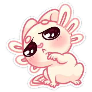 🤨 słodki, zwierzę, aksolotl, kreskówka, kawaii, naklejka whatsapp sticker