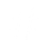 #️⃣
