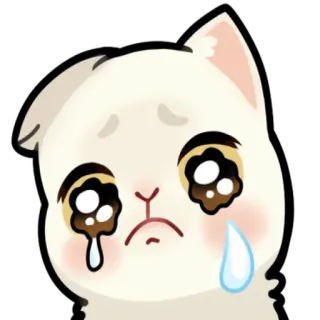 😢 cat telegram sticker