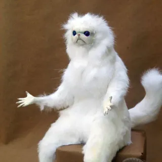 😐 animale, gatto, confuso, meme, bianco telegram sticker