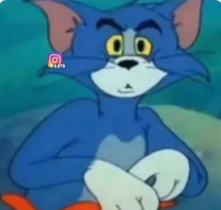 💛 Tom Cat Tom and Jerry S.STO Tom Cat, hoạt hình, mèo, động, vui nhộn, meme telegram sticker