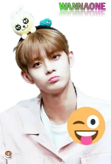 😒 WANNAONE kpop, Idol, Cantante, Wanna One, Musica whatsapp sticker