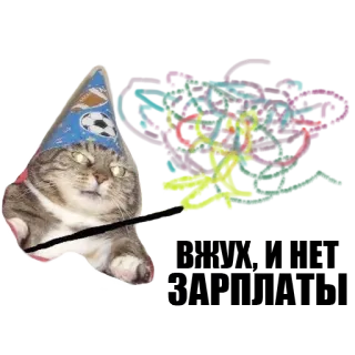 ✨ kat, tovenaar, magie, dier, huisdier, grappig telegram sticker