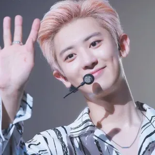 🐻 personne, chanteur, kpop, acteur, célébrité telegram sticker